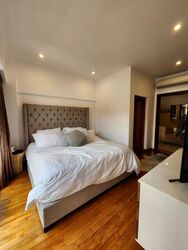 Holland Link (D10), Terrace #451619391